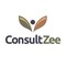 Consult Zee Ltd