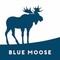 Blue Moose