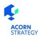 Acorn Strategy 