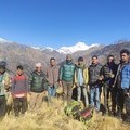 Members of a Community Forestry User Groups in Nepal, learning best practice methods to sustainable harvest Jatamansi. Image courtesy of ANSAB. 