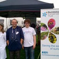 Pollinating the Peak team at Chatsworth Country Fair