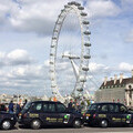 24option Taxi Livery from London Taxi Advertising