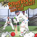 Powerplay Instant Cricket Surface