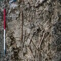 Cherington Double Grave Excavation (Low Res)