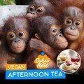 International Animal Rescue’s fundraising goal for the 2026 Cakes for Apes campaign is £25,000