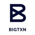 BIGTXN Logo