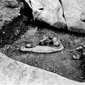 Cnocán an Chuig (break), 2026, pigment print on archival photo paper.  Christopher Steenson