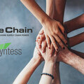 PipeChain and Quyntess Logos 