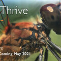 LetItThrive - Series 2 - Coming May 2021