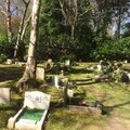 Pet Cemetery Formal Pet Burial Area