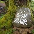 Bron Yr Aur stone