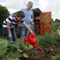 Jack and Luke planting butternut squash