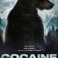 CineArk have previously supported productions in Ireland, including; Cocaine Bear 