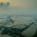 Paddy fields and shrimp farms in south Bangladesh