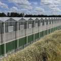 Glass Pharms cultivation facility