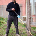 Aspire - greening London