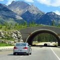 Example of Trans-Canada Highway wildlife bridges in Banff
