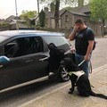 Man with Guide Dog being refused entry to a taxi