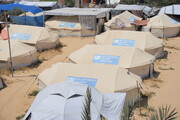 The SOS Children