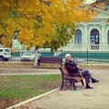 loneliness epidemic
