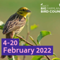 GWCT Big Farmland Bird Count 4 - 20 Feb