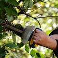 Person using a hedge trimmer
