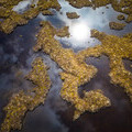 Peatland_credit James Shooter_Rewilding Europe_1