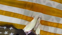 Still image of Bone Flag