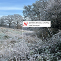 Frosty landscape at Heal Somerset