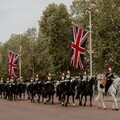 Royal Marines and UK Armed Forces personnel can be exposed to intense impulse noise during training and service, including weapons fire and explosive 