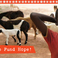 Help Fund Hope this Christmas