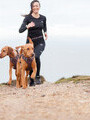 Running with dogs on the Isle of Wight