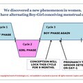 Visual presentation of alternating cycles in women.