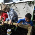 Photo of the children planting our new garden