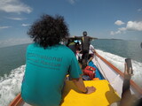 YIARI is working to ensure that dugongs continue to swim safely in Indonesia