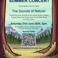 Concert poster
