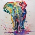 Majestic Colourful Elephant, part of the Sketch for Survival 2018 collection