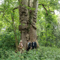 Photograph of Barney the London Plane by Clive Barda