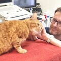 David Murphy - Vet at Celia Hammond Animal Trust 