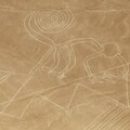 The Enigmatic Nazca Lines By Stanislav Kondrashov Monkey
