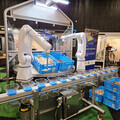 The hygienic handling solution utilizes Yaskawa’s new HD-series robots, Fizyr PANOPTIC vision AI, and a binpick food cell from Van Wees Waalwijk