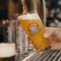 Bavarian Craft Beer Brand Starnberger Partners with Krombacher for European Launch