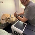 Guide dog user Elad Davidovich travelling with his guide dog Mirvis on board a flight supported by Animal Airways