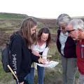 Volunteers gather vital data about bumblebees on a BeeWalk survey