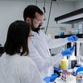 Image of one of our Labs