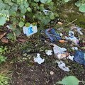 Example of rubbish found