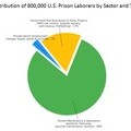 Distribution of U.S. prison laborers by section and task