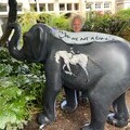 Charlie Mackesy with his hand-painted elephant sculpture Amara
