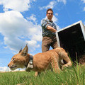 Planet Wild Co-Founder Markus Gilles releases a young lynx into the wild as part of the lynx reintroduction programme in the Harz region.