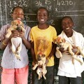 Three boys from Blantyre with their dogs